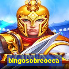 bingosobreoeca